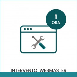 Webmaster - Intervento 1h